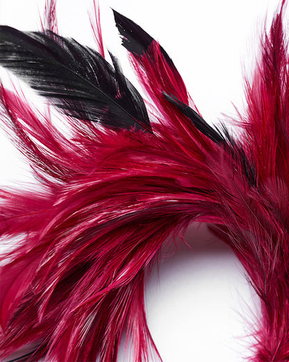 WS-683LHF Womens Gothic Hair Barette With Red Feathers