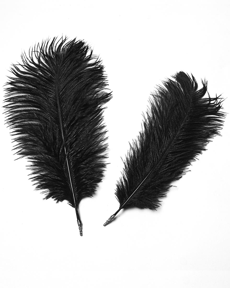 WS-820MZ Unisex Gothic Dragon Spine Feathered Tricorn Hat