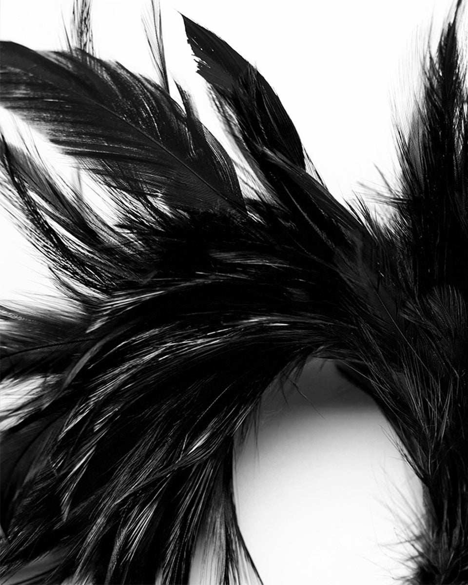 WS-683LHF Womens Gothic Hair Barette With Black Feathers